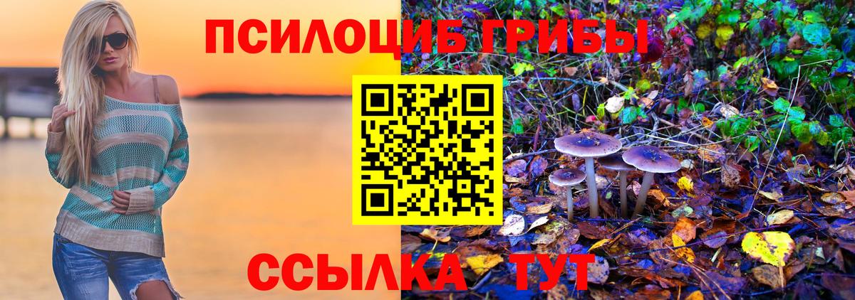 Галлюциногенные грибы прущие грибы  Псилоцибиновые грибы Psilocybe  Вход с VPN  Рязань 